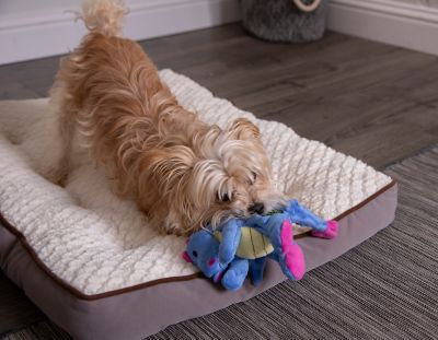 Image showing 5 th goDog Dragons Squeaky Plush Dog Toy, Chew Guard Technology - Periwinkle, Small