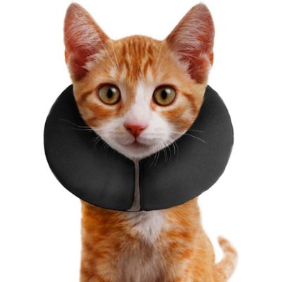 Image showing  ZenCollar The Original Inflatable Recovery Collar for Dogs