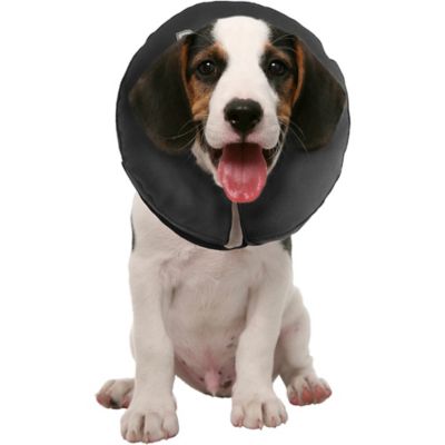 Image showing 0 th ZenPet ZenCollar The Original Inflatable Recovery Collar for Dogs