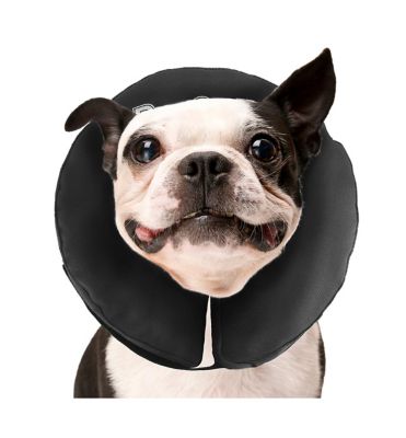 Image showing 1 th ZenPet ZenCollar The Original Inflatable Recovery Collar for Dogs