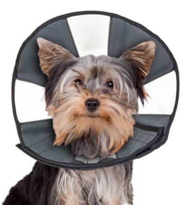 Image showing  ZenCone Original Soft Recovery Cone for Dogs