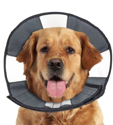 Image showing  ZenCone Original Soft Recovery Cone for Dogs