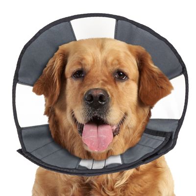 Image showing  ZenCone Original Soft Recovery Cone for Dogs