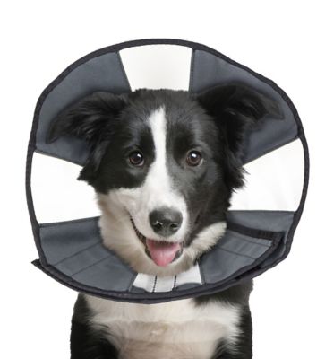 Image showing  ZenCone Original Soft Recovery Cone for Dogs