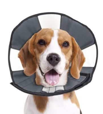 Image showing  ZenCone Original Soft Recovery Cone for Dogs