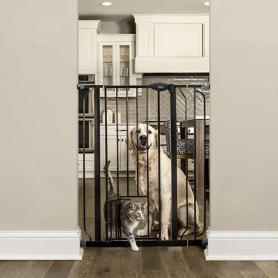 Carlson Extra Tall Walk Through Metal Pet Gate with Pet Door Black 29 in. to 39 in. at Tractor Supply Co