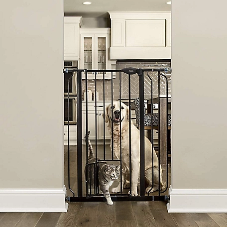 Carlson Black Extra Tall Pet Gate with Pet Door, 29 in. to 39 in.