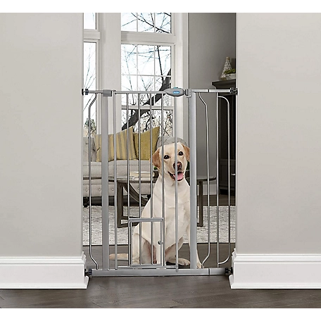 Carlson Platinum Extra Tall Pet Gate with Pet Door, 29 in. to 39 in.