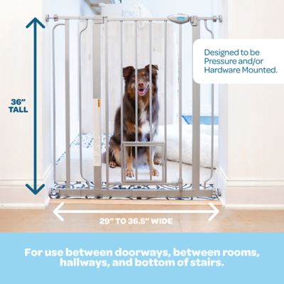 Image showing  Extra Tall Pressure-Mounted Metal Pet Gate with Pet Door, 29 in. to 39 in., Platinum