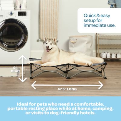 Image showing  Portable Elevated Pet Bed