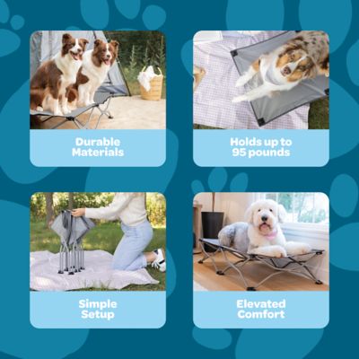 Image showing  Portable Elevated Pet Bed