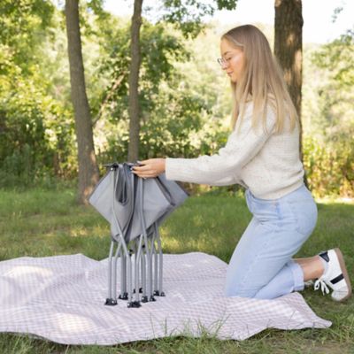 Image showing  Portable Elevated Pet Bed