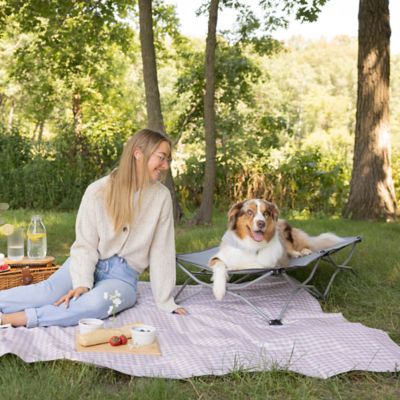 Image showing  Portable Elevated Pet Bed