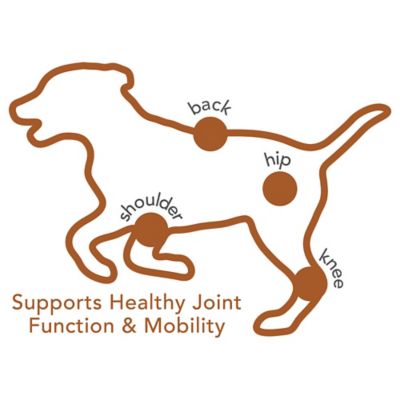 Image showing 5 th Vet's Best Advanced Soft Chew Hip and Joint Supplement for Dogs, 30 Day Supply