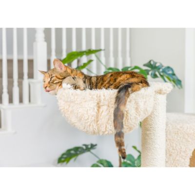 Image showing  69 in. Multi-Level Real Wood Cat Scratching Tower with Hammock