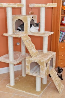 Image showing  74 in. Multi-Level Real Wood Cat Tree Large Cat Play Furniture with Scratching Posts and Large Platform, Beige
