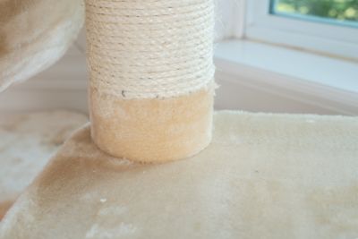 Image showing 5 th Armarkat 74 in. H Press Wood Real Wood Cat Tree With Cured Sisal Posts for Scratching