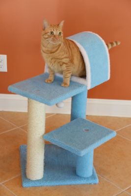 Image showing  Sky Blue 29" Real Wood Cat Tree With Scratcher And Tunnel For Squeeze, Snoozing And Hiding, B2903