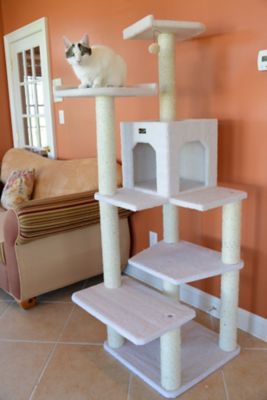 Image showing 2 th Armarkat B6802 Classic Real Wood Cat Tree, 6 Levels with Condo and 2 Perches, Ivory