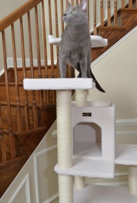Image showing 4 th Armarkat B6802 Classic Real Wood Cat Tree, 6 Levels with Condo and 2 Perches, Ivory