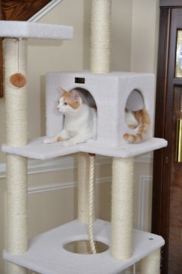 Armarkat Classic Cat Tree In Ivory Jackson Galaxy Approved Four Levels With Rope Swing Hammock Condo And Perch B7301 At Tractor Supply Co