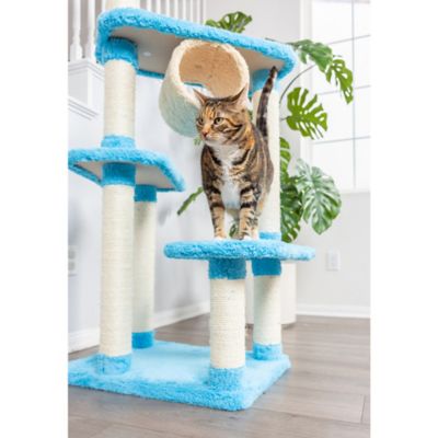 Image showing  Real Wood Cat Climber, Cat Jungle Tree With Platforms, X6105 Sky blue