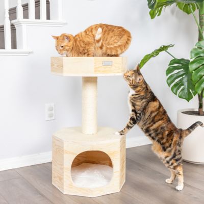 Image showing  Double Base Solid Wood Cat Tree Tower House, 29 in.