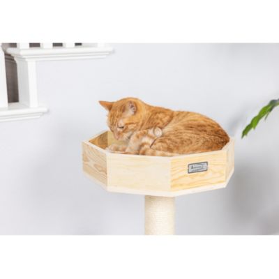 Image showing  Double Base Solid Wood Cat Tree Tower House, 29 in.