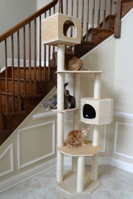 Image showing  Premium Scots Pine 85 in. Real Wood Cat Tree with Five Levels, Two Condos