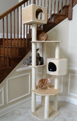 Image showing 6 th Armarkat Premium Scots Pine 85 in. Real Wood Cat Tree with Five Levels, Two Condos