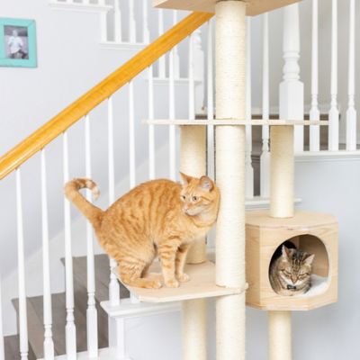 Image showing 8 th Armarkat Premium Scots Pine 85 in. Real Wood Cat Tree with Five Levels, Two Condos