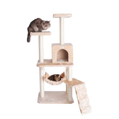 GleePet 57 in. Real Wood Cat Tree in Beige with Perches, Running Ramp, Condo and Hammock
