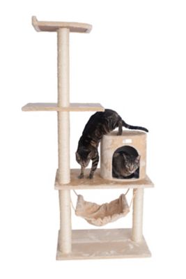 cat hammock for cat tree