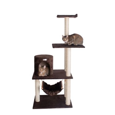 GleePet 59 in. Cat Tree in Coffee Brown with Condo and Hammock