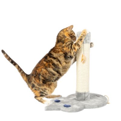 Image showing  Mouse Shape Real Wood Cat Scratcher Toy, Sisal Scratching Post For Kitty TraInIng