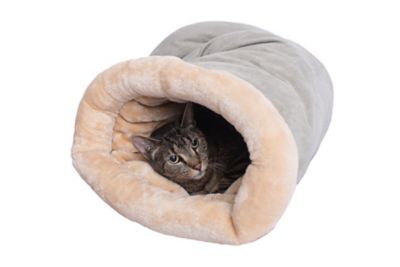 Armarkat Soft Cave Sleep Pet Bed for Dog and Cat, Sage Green/Beige