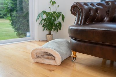 Image showing  Soft Cave Sleep Pet Bed for Dogs and Cats, 20 in., Sage Green/Beige