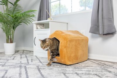 Image showing  Small Indoor Cat house, Cat Beds with Mat, MachIne Washable, Earth Brown/Beige