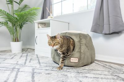 Image showing  Cave Shape Cat Bed with Anti-Slip Waterproof Base, Laurel Green/Beige