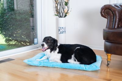 Image showing  Washable Crate Bed Poly Fill Cushion Pet Bed Mat Small And Medium Pets