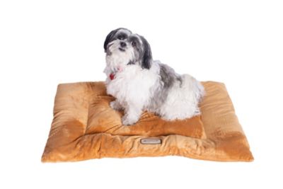 Image showing  Washable Crate Bed Poly Fill Cushion Pet Bed Mat Small And Medium Pets