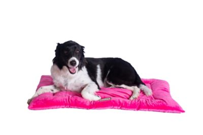 Image showing  Washable Crate Bed Poly Fill Cushion Pet Bed Mat Small And Medium Pets