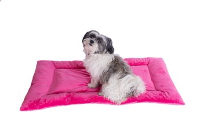Image showing  Washable Crate Bed Poly Fill Cushion Pet Bed Mat Small And Medium Pets