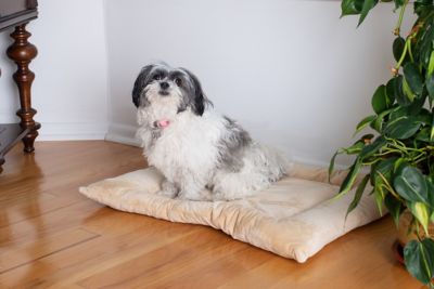 Image showing  Washable Crate Bed Poly Fill Cushion Pet Bed Mat Small And Medium Pets