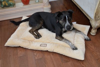 Image showing  Washable Crate Bed Poly Fill Cushion Pet Bed Mat Small And Medium Pets