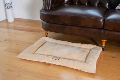 Image showing  Washable Crate Bed Poly Fill Cushion Pet Bed Mat Small And Medium Pets