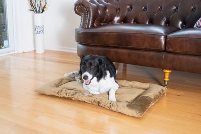 Image showing  Washable Crate Bed Poly Fill Cushion Pet Bed Mat Small And Medium Pets