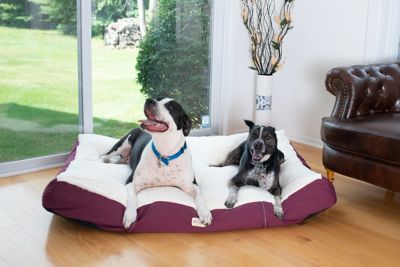 Image showing  Polyfill Pillow Dog Bed