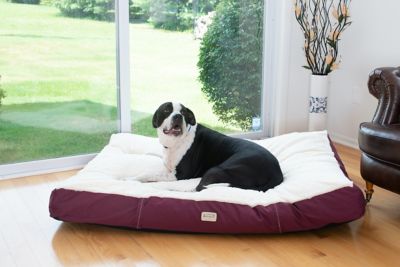 Image showing  Polyfill Pillow Dog Bed