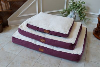 Image showing  Polyfill Pillow Dog Bed